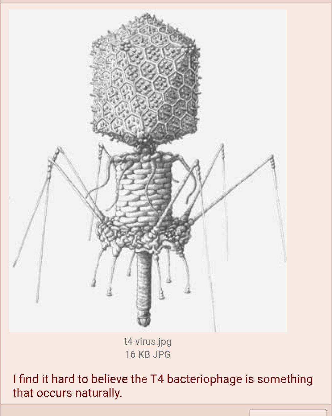 T4 Bacteriophage под микроскопом